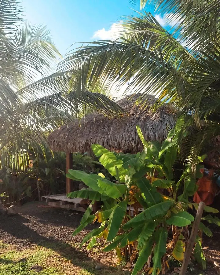 Lodge Caraibes Insolite Sainte-Luce Martinique