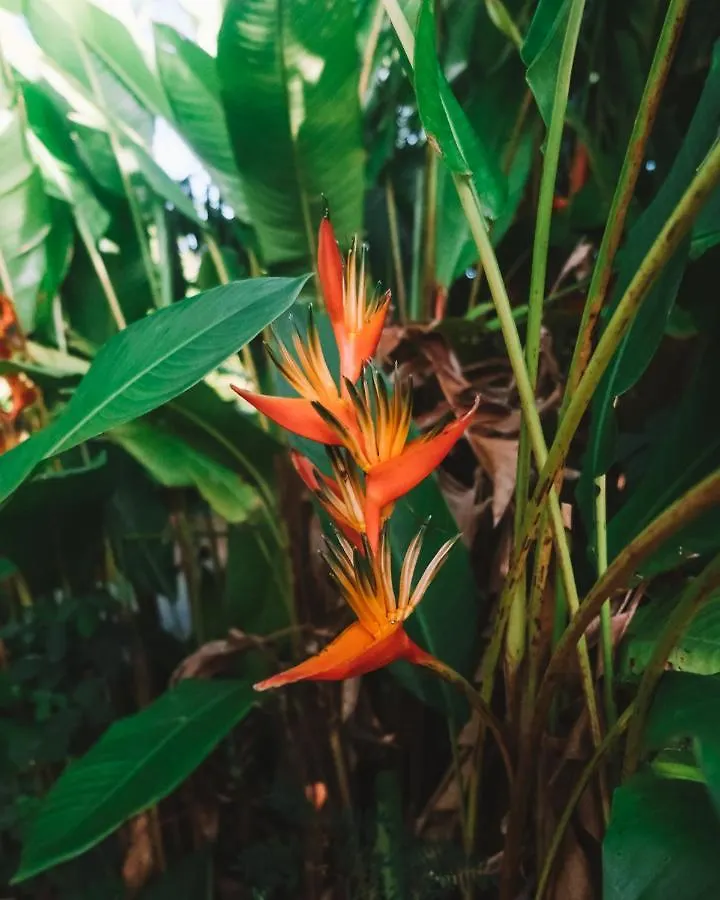 Caraibes Insolite Sainte-Luce 0*,  Martinique